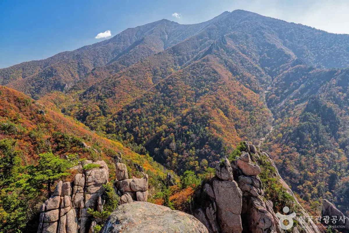 설악산 단풍