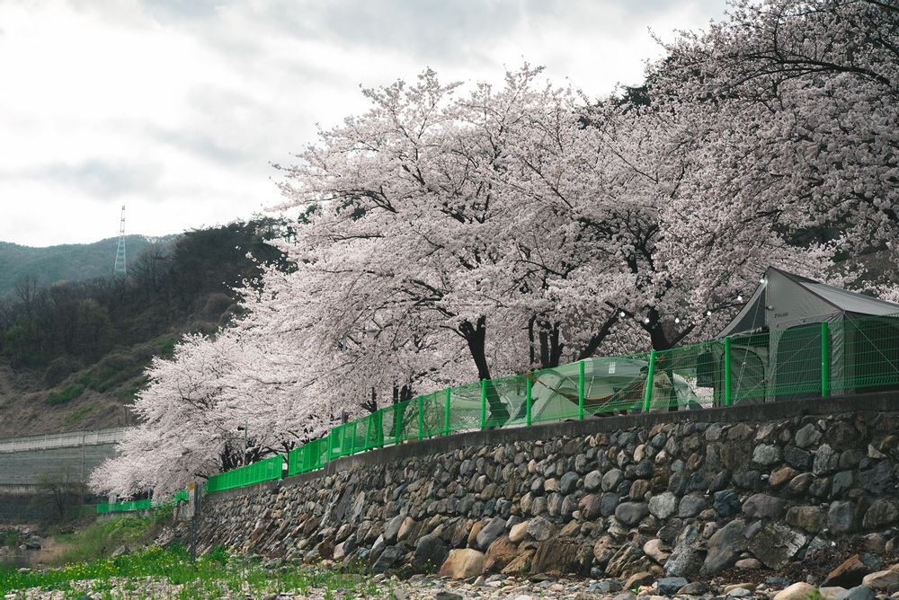 밀양 패밀리오토캠핑장 소개