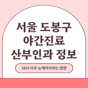 서울 도봉구 야간진료 산부인과 병원 (18시 이후 늦게까지하는 병원)