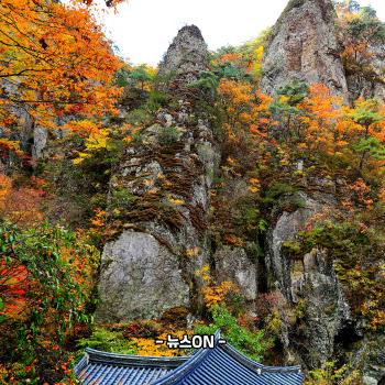 11월 가볼만한 산