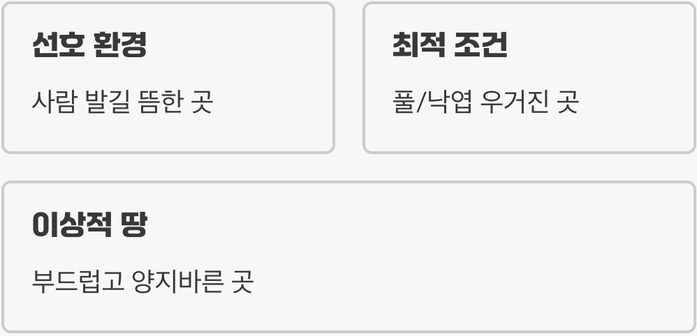 땅벌&amp;#44; 왜 하필 우리 집에?