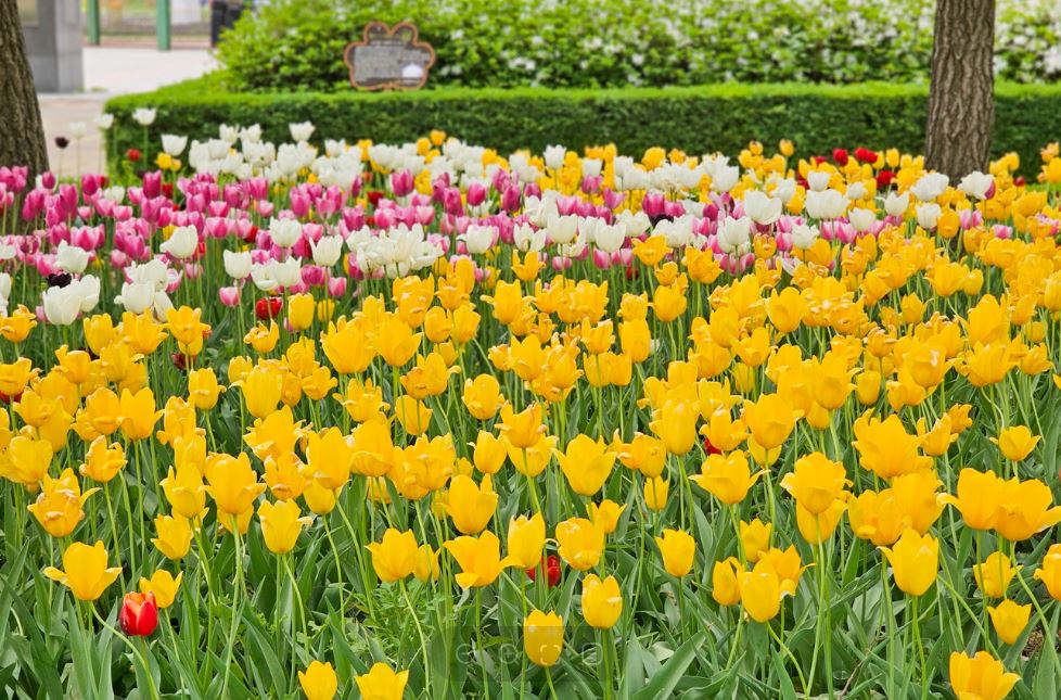 모니카 임신 후 스타일 변화