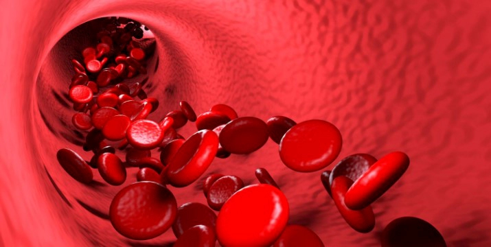 혈액순환에 좋은 운동