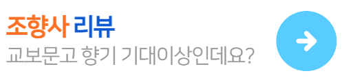 교보문고차량용방향제-조향사리뷰