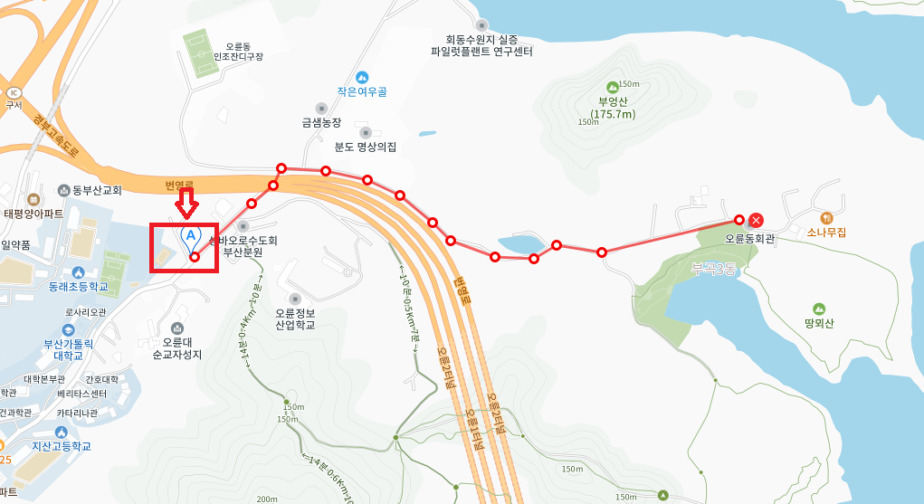 오륜대 땅뫼산 황토숲길 맨발걷기5