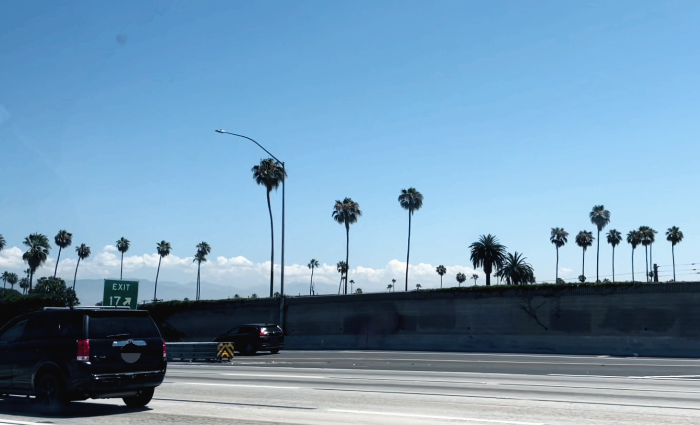 택시에서 본 LA의 풍경. 파란 하늘 아래 가로로 야자수들이 늘어서 있다. 멀리에 흰 구름들이 모여 있다.