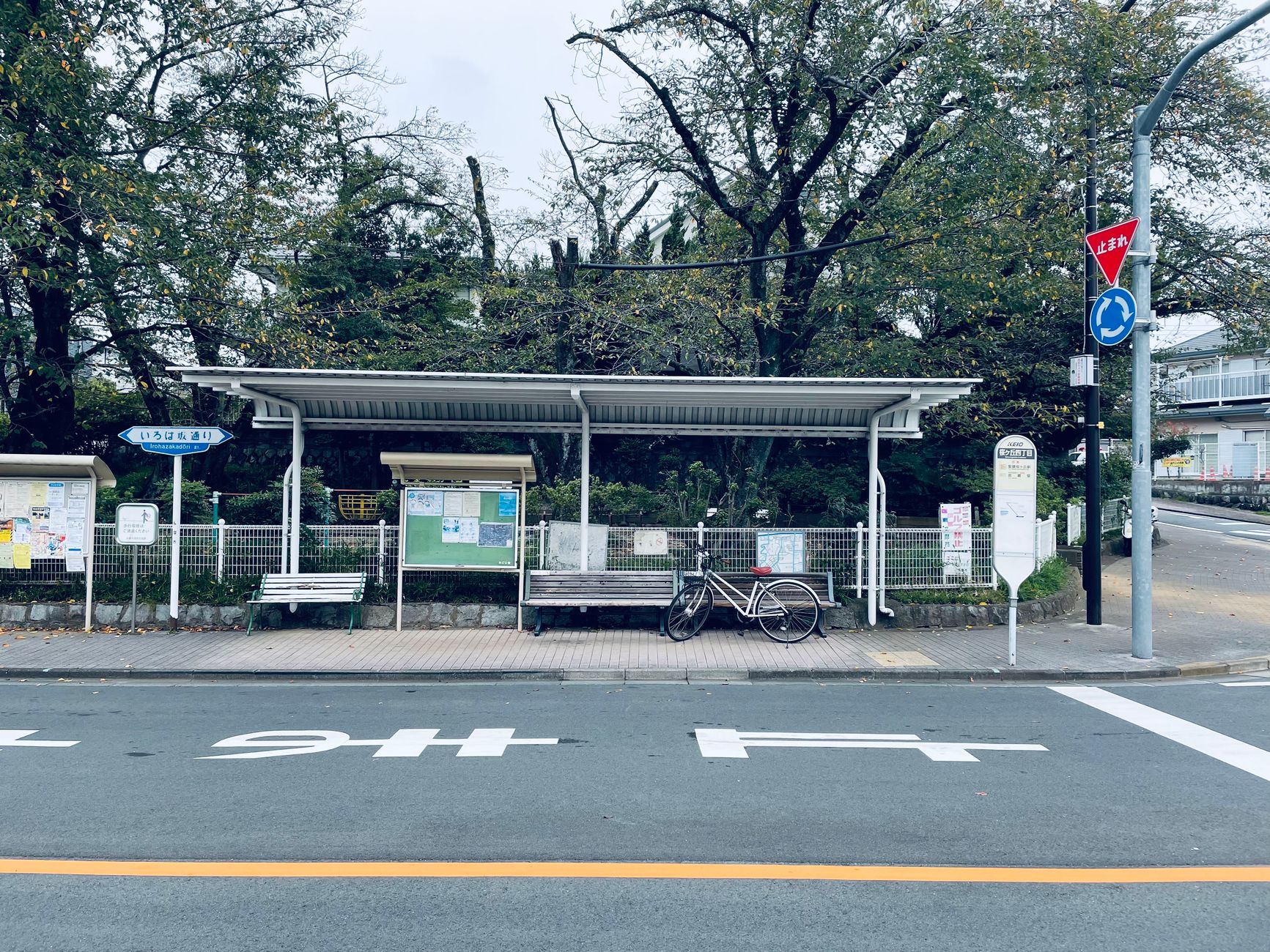 에버랜드 캐리비안베이 주차 완벽 가이드 — P1~P5 셔틀버스 활용 + 가족 외출 1일 코스 - 요금/안내