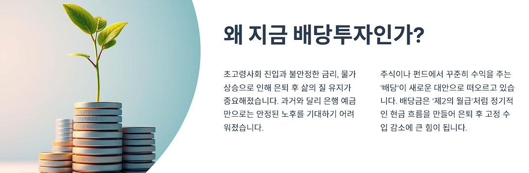 왜 지금 배당투자인가?