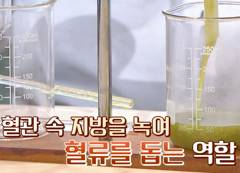 대마종자유 효능