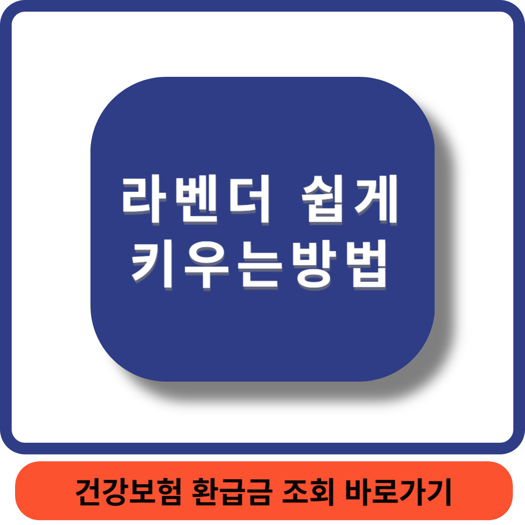 라벤더키우기썸네일