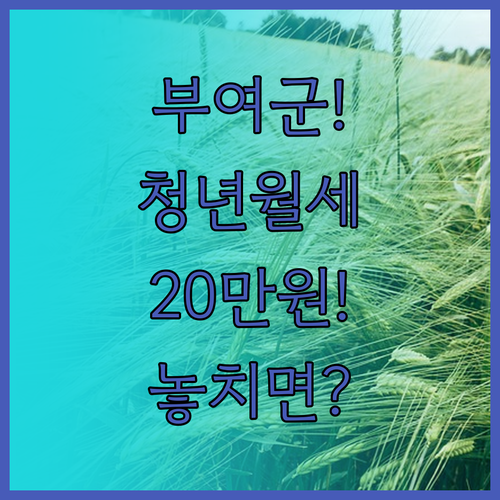 2026 부여군 청년월세 20만원 지..