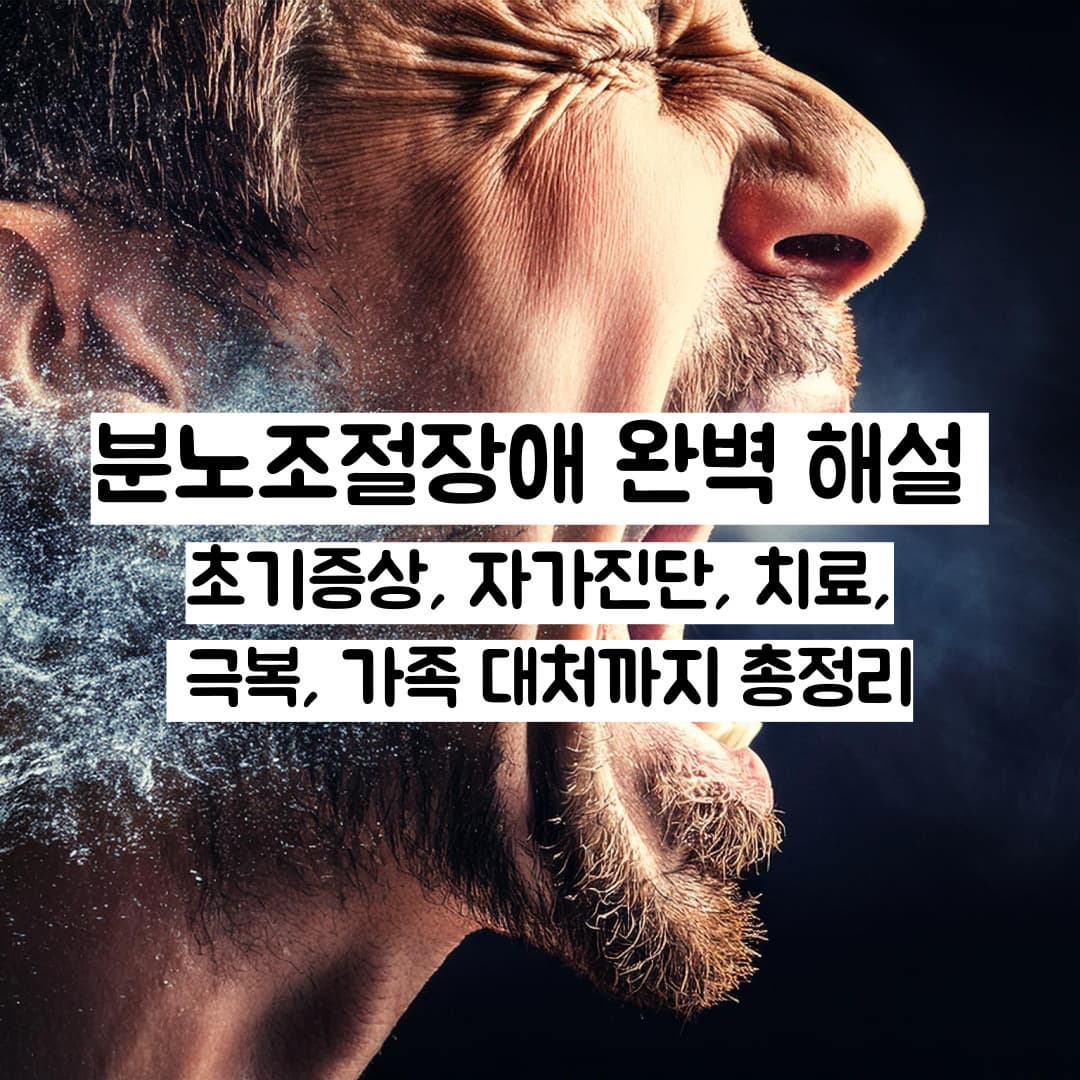 분노조절장애 완벽 해설 – 초기증상, 자가진단, 치료, 극복, 가족 대처까지 총정리
