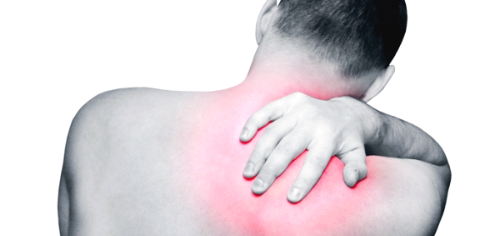 콘드로이친 효능 부작용