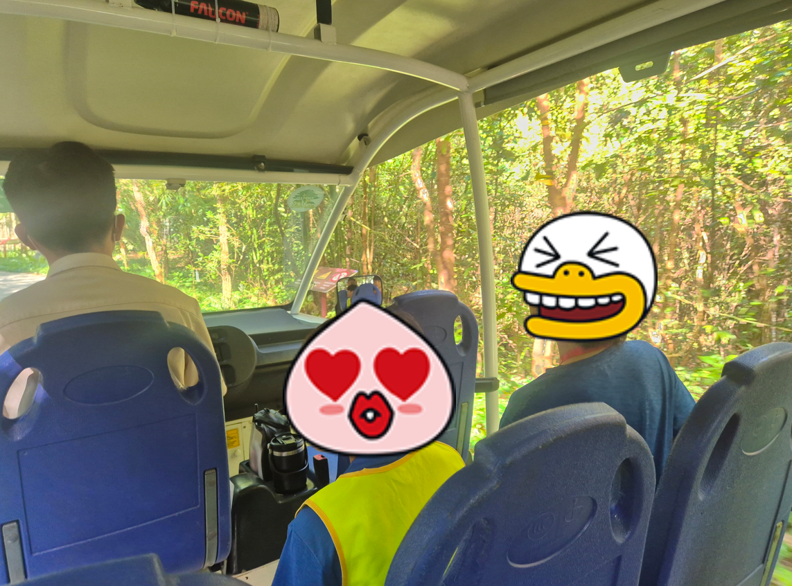 버기 카 사진