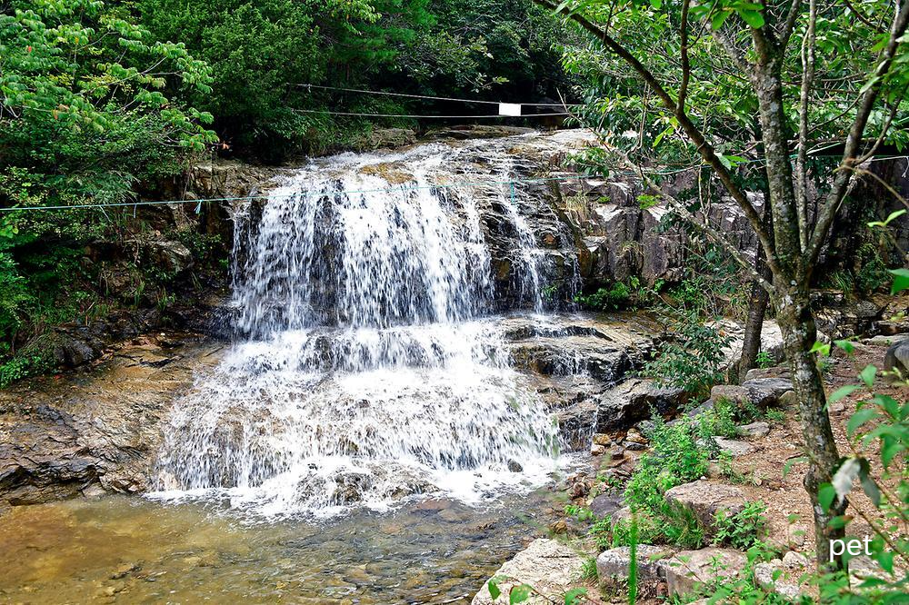 곡성-꿈꾸는캠핑장 