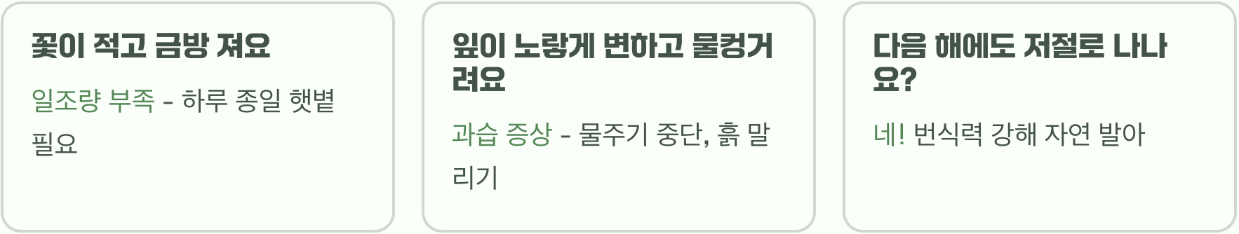 채송화 씨앗부터 꽃까지 키우기 A to Z (파종, 물주기, 관리법 총정리)