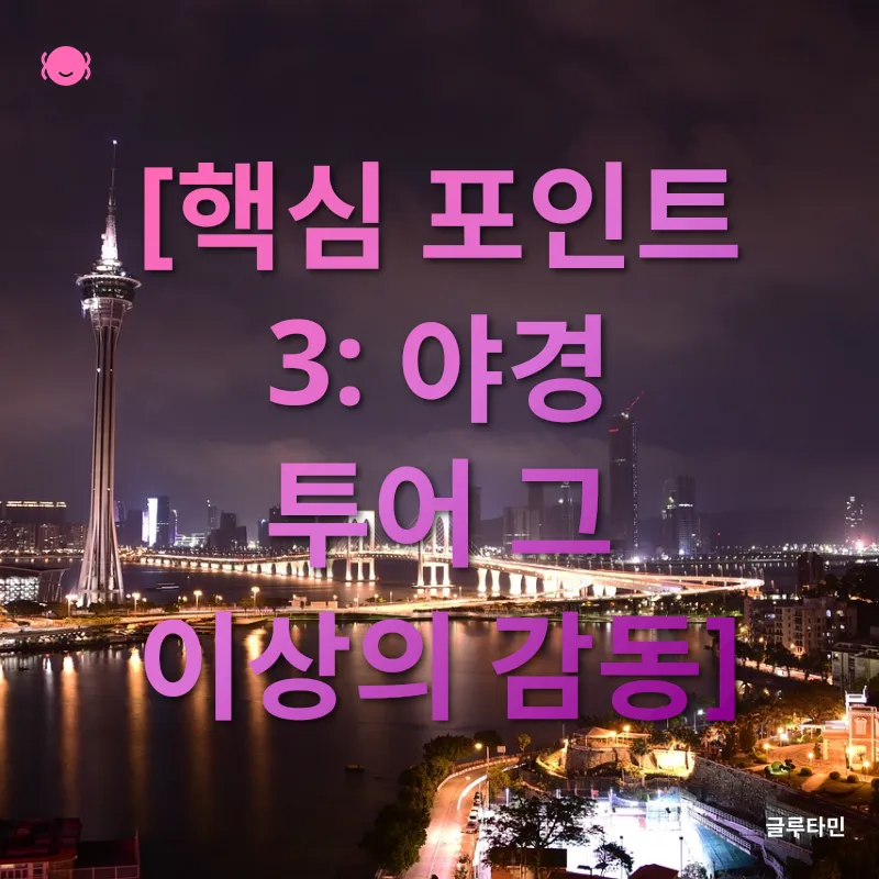 마카오 야경 투어_3