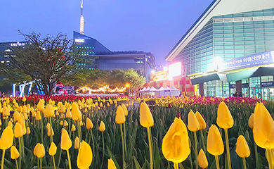 고양 국제꽃 박람회