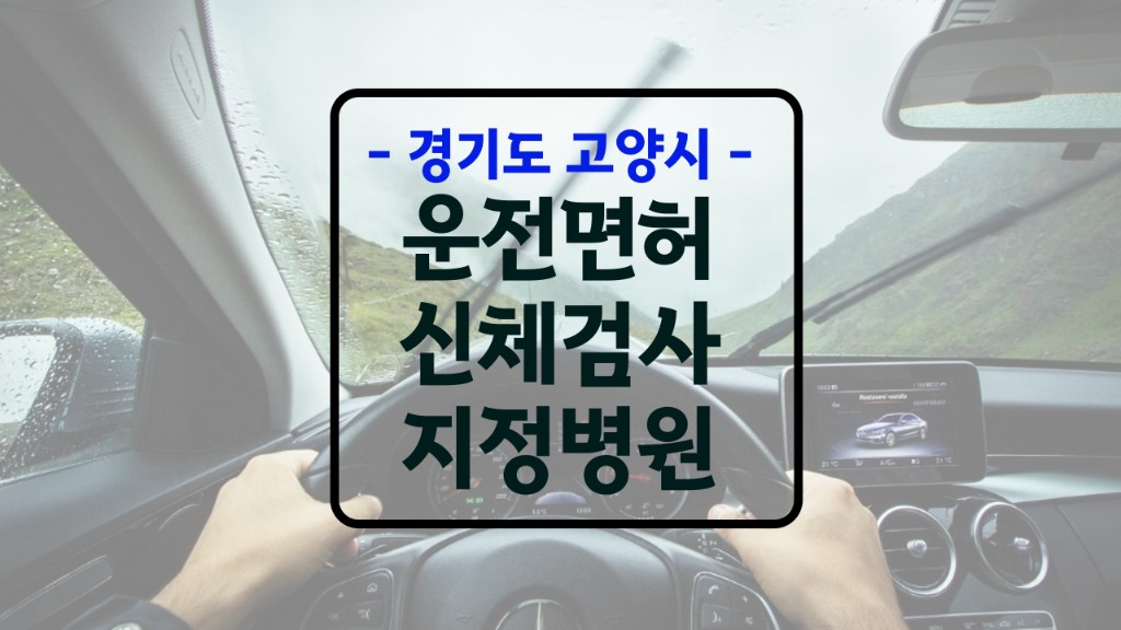 고양 운전면허 신체검사 병원