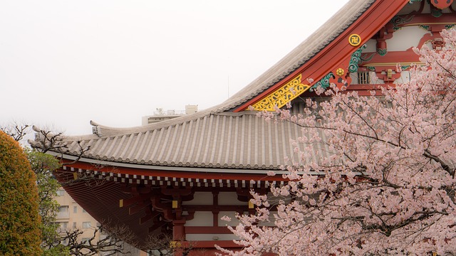 봄에 보는 일본의 명소 아사쿠사 풍경