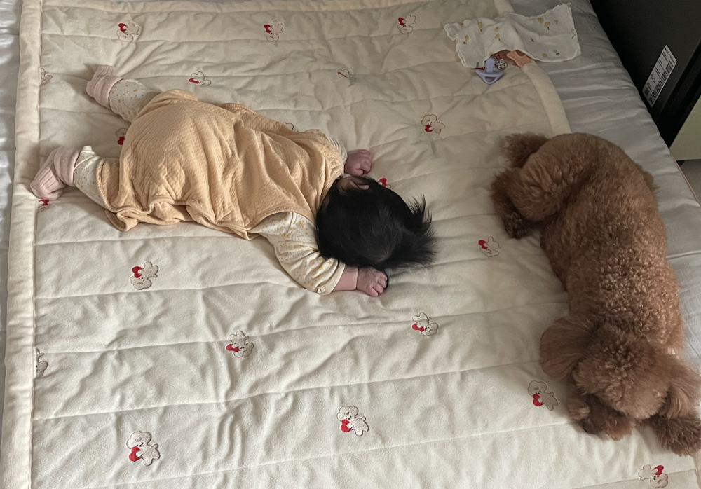 반려견과 아기가 한침대에서 지내는 모습