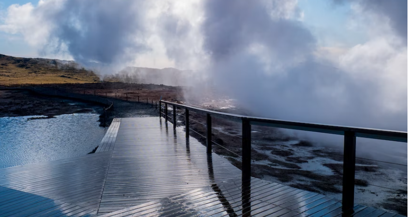 Heat Shock의 원인 및 영향