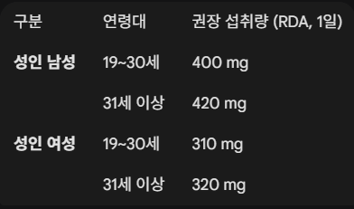 마그네슘 성인 권장량