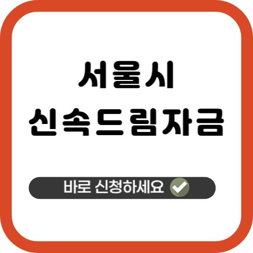 신속드림자금