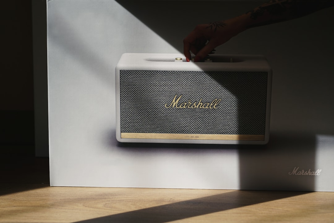 Microenterprise