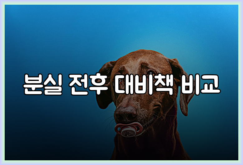 분실 전후 대비책 비교