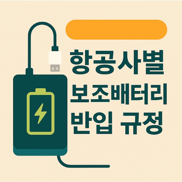 항공사별 보조배터리