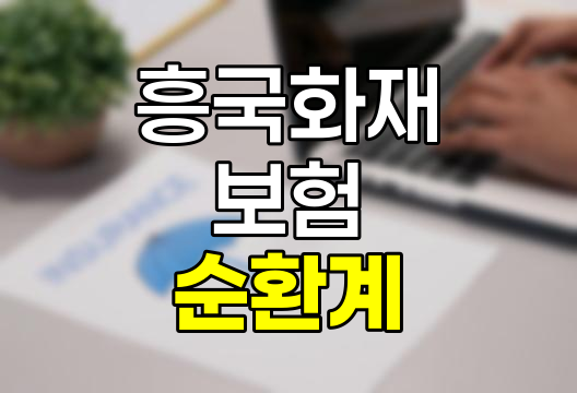 흥국화재 순환계 보장 범위 상세 분석 - 보장 질환과 특약 선택 가이드