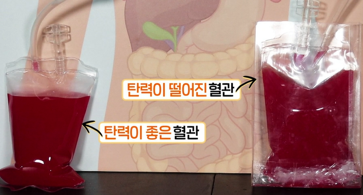 아르기닌의 효능