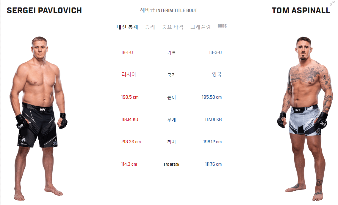 UFC 295 파블로비치 아스피날