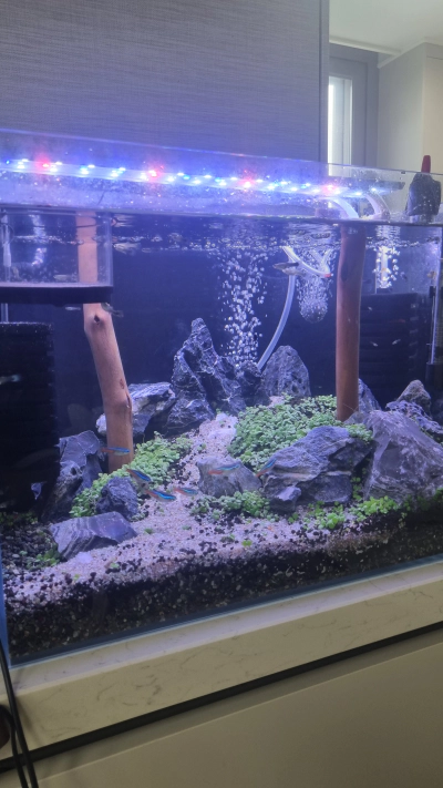 경기도 이천 구피천 위치 주차 및 준비물 정보 (2024)