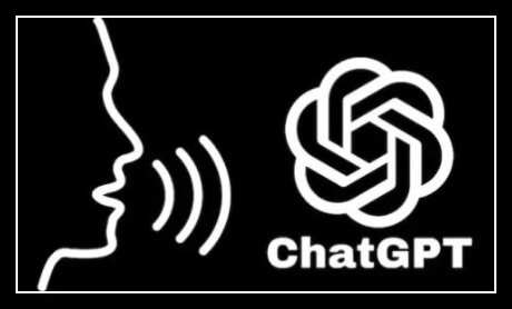 챗 GPT 유료가격