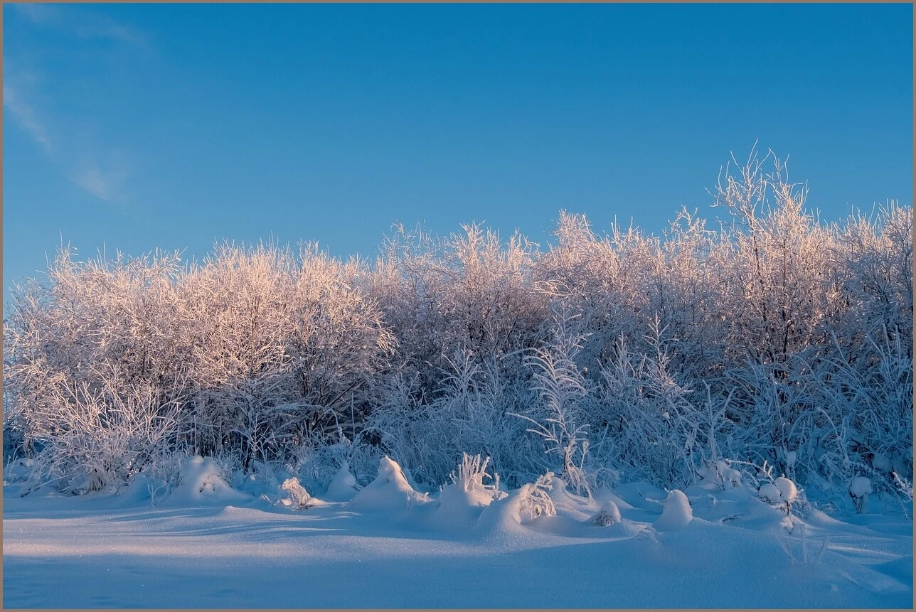 수협 정기예금 금리