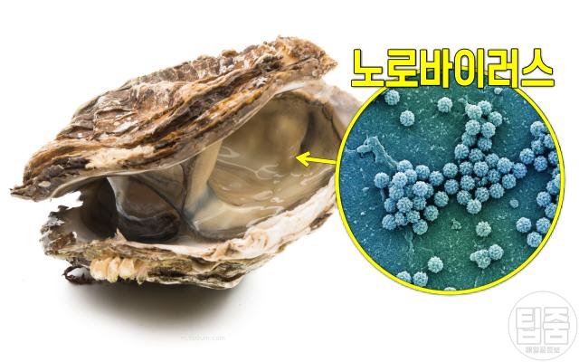 노로바이러스 증상 대처