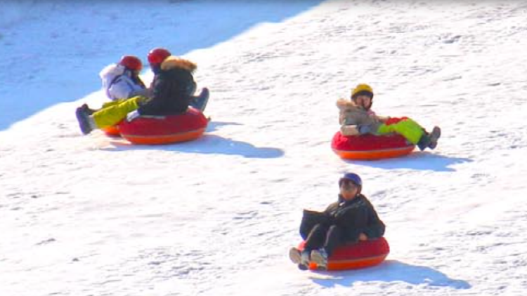 화천 산천어축제