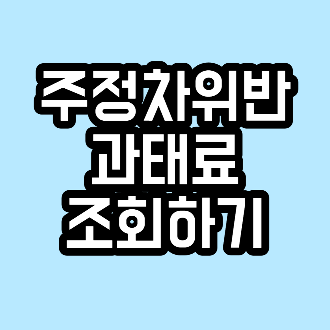 주정차위반 과태료 조회하기 - 3. 주정차위반 과태료 금액 확인하기 주정차위반 과태료 조회하기 - 3. 주정차위반 과태료 금액 확인하기