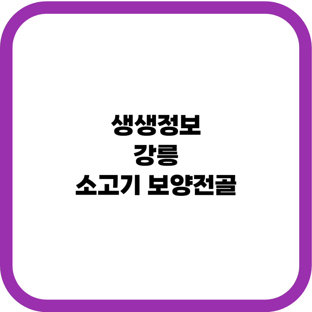 생생정보 소고기 보양 전골 썸네일