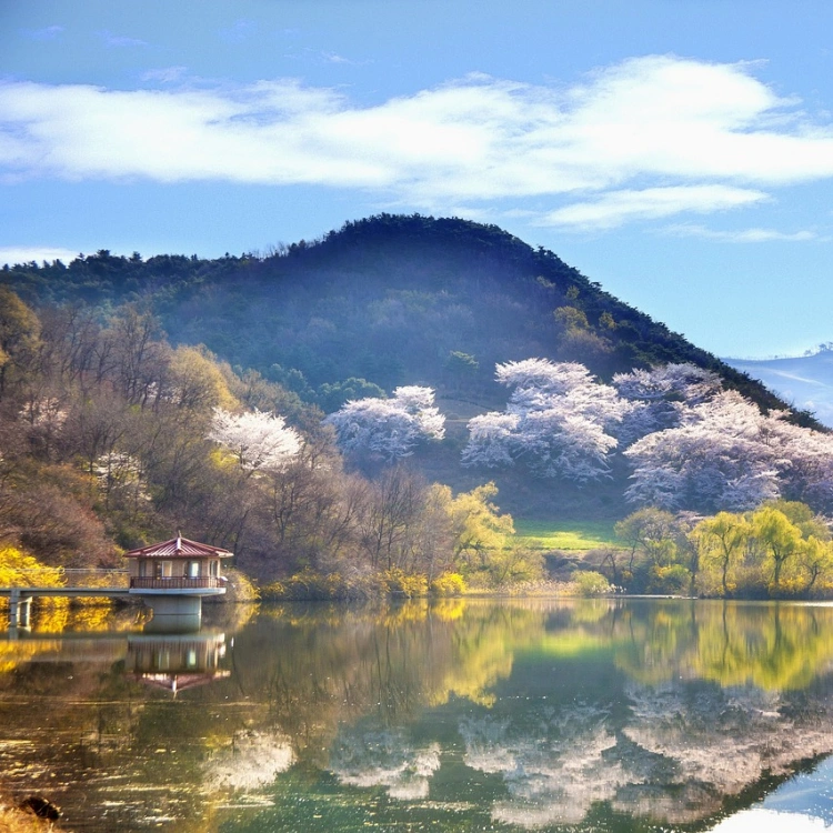 Korea's Natural Landscape