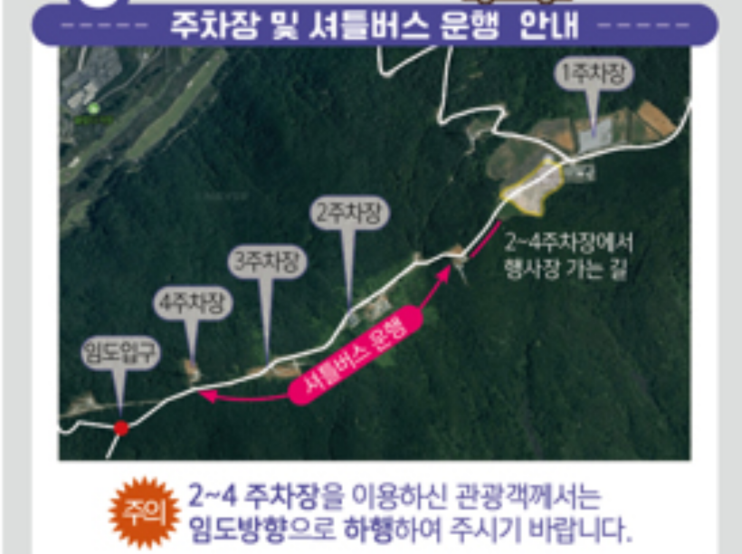 감악산 아스타국화 축제