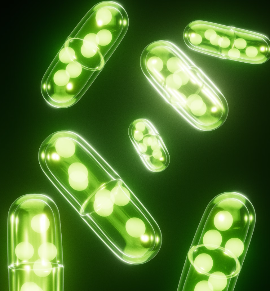 오메가3 효능 정리 5