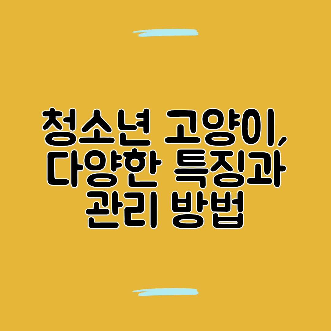 청소년 고양이, 다양한 특징과 관리 방법