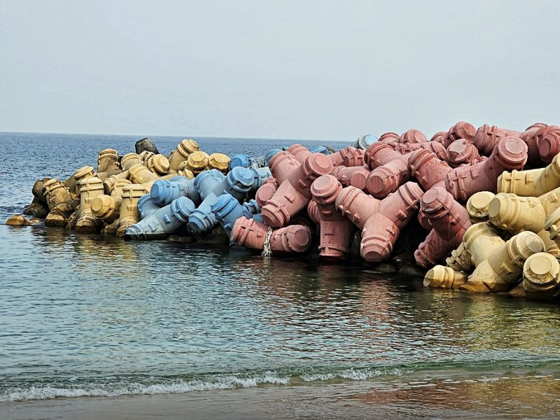 7월 가볼만한곳 10곳 강릉시