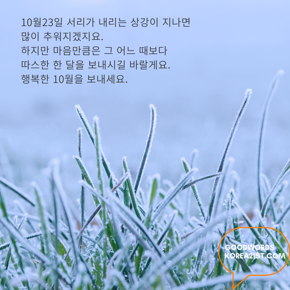 10월 인사말 문구 이미지 모음 안부 메세지