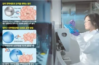 폐암 면역항암제 치료비 절반으로 줄이는 보험 활용 전략으로 실전팁_8