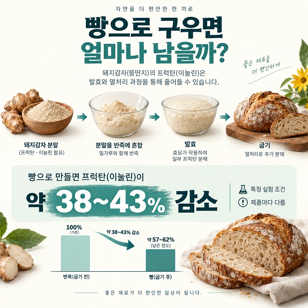 돼지감자 분말이 반죽과 발효, 굽기 과정을 거치며 프럭탄 함량이 달라지는 과정