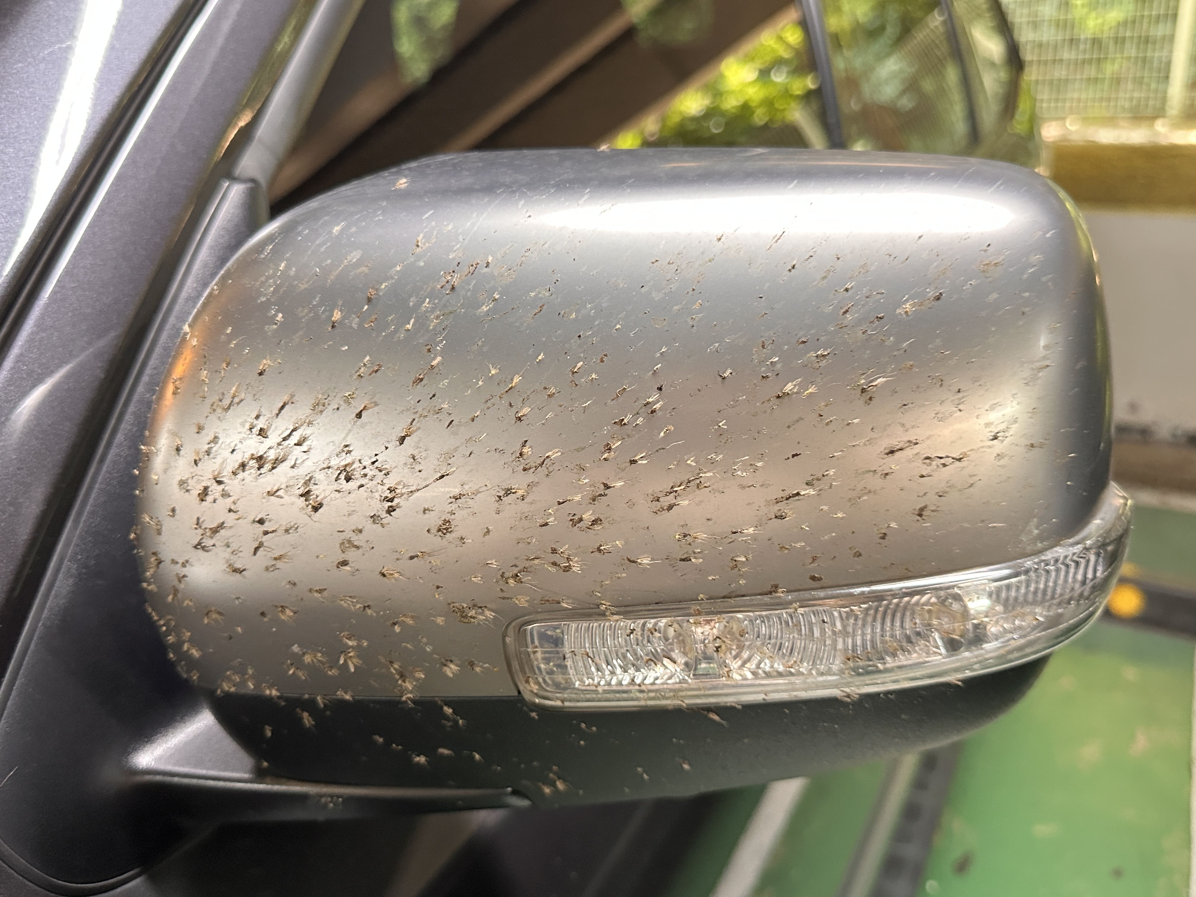 자동차 앞 유리에 벌레가 잘 달라붙는 이유 – 운동량과 충돌